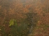 WP_20150118_2